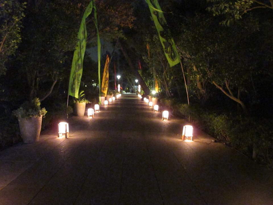 神秘的な夜の会場