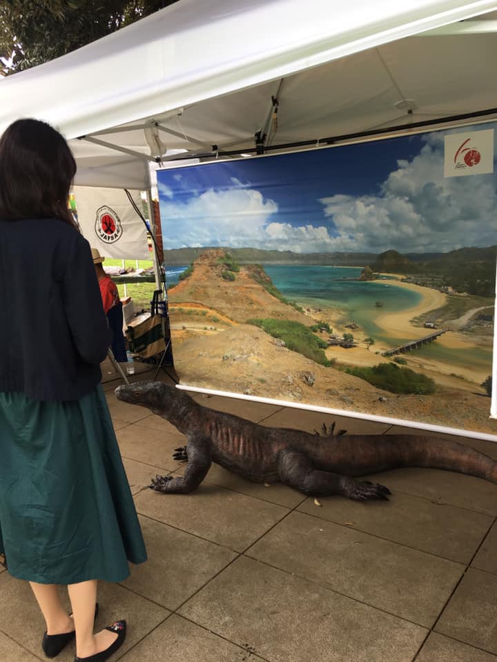 コモドドラゴン